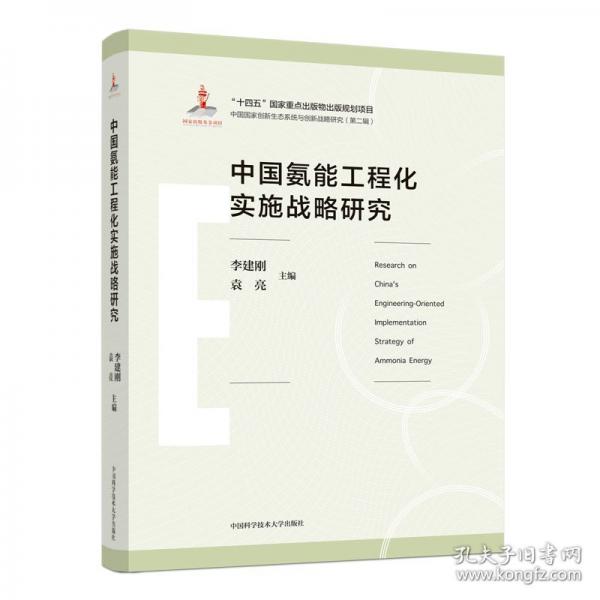 中國氨能工程化實施戰(zhàn)略研究