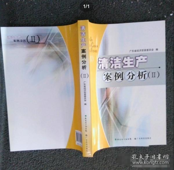 清潔生產(chǎn)案例分析. 2