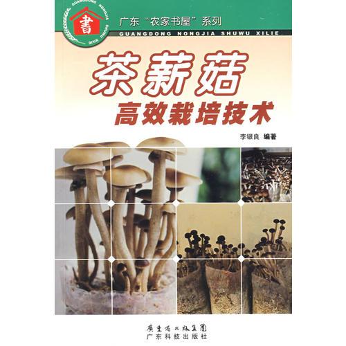 茶薪菇高效栽培技術(shù)--廣東“農(nóng)家書屋”系列