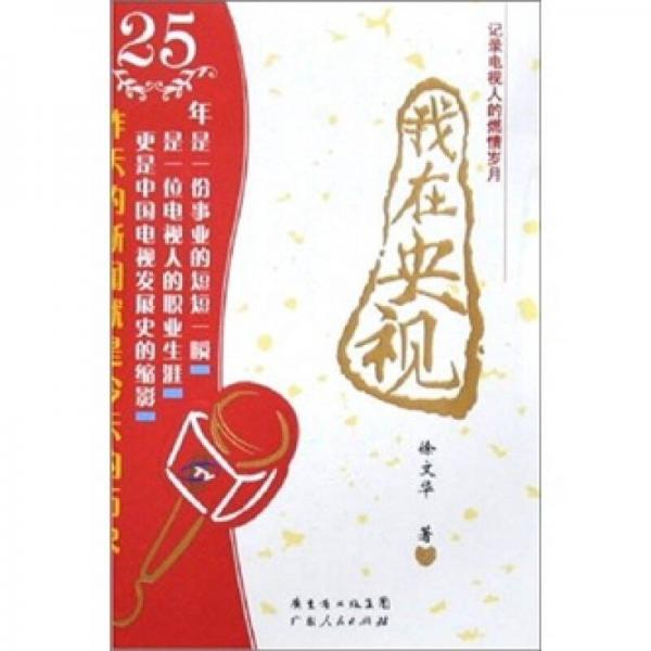我在央視