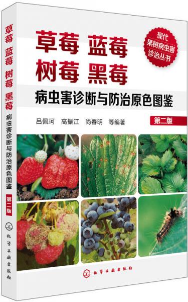现代果树病虫害诊治丛书--草莓蓝莓树莓黑莓病虫害诊断与防治原色图鉴（第二版）