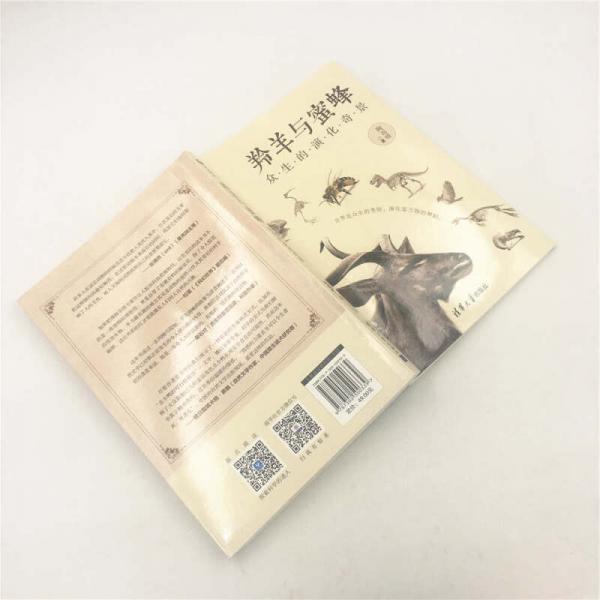 羚羊与蜜蜂：众生的演化奇景