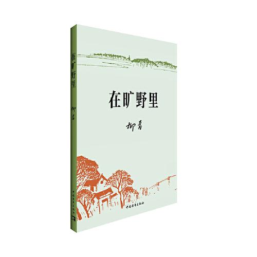 在旷野里（平装）