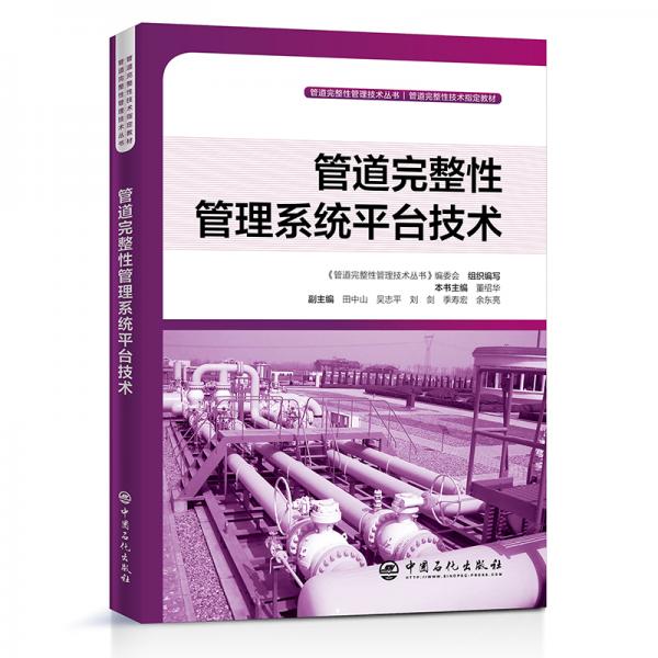 管道完整性管理系统平台技术管道完整性管理技术丛书