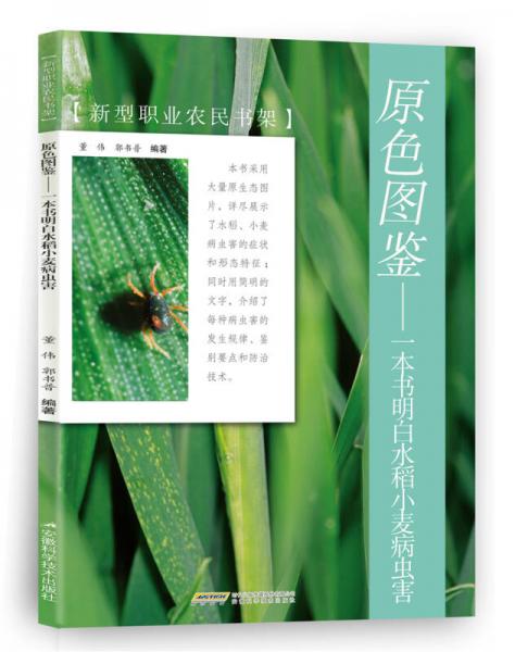 原色图鉴 一本书明白水稻小麦病虫害/新型职业农民书架