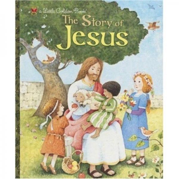 The Story of Jesus 