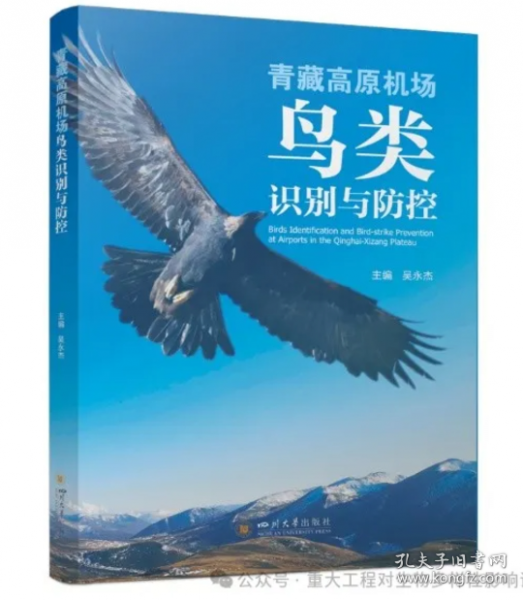 青藏高原機場鳥類識別與防控