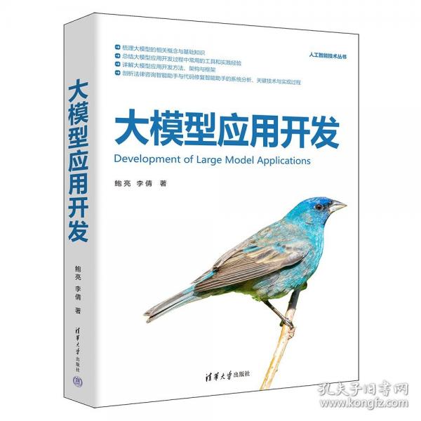 大模型应用开发