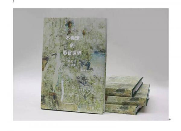 不确定的感官世界