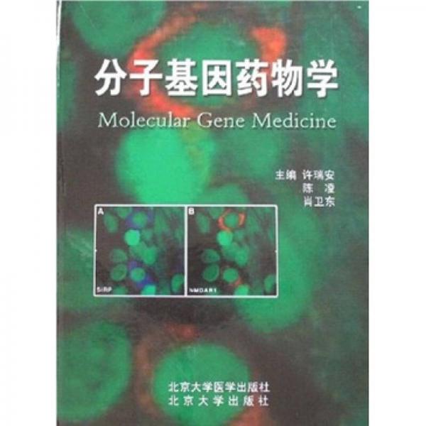 分子基因藥物學(xué)