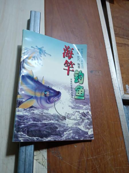 海竿釣魚