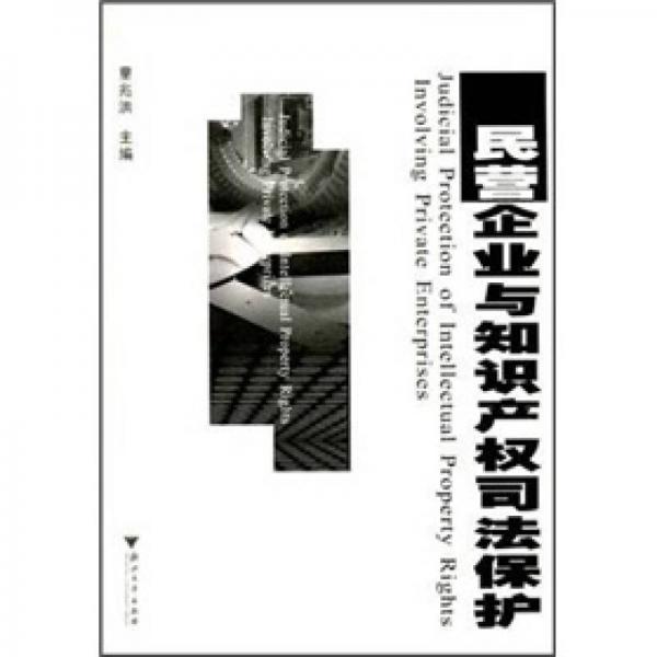 民營(yíng)企業(yè)與知識(shí)產(chǎn)權(quán)司法保護(hù)