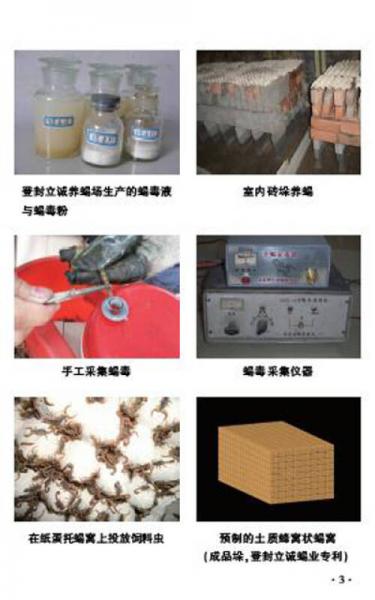 蝎子无冬眠养殖技术