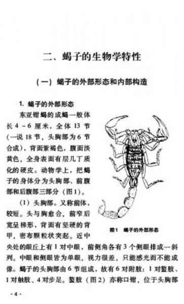 蝎子无冬眠养殖技术