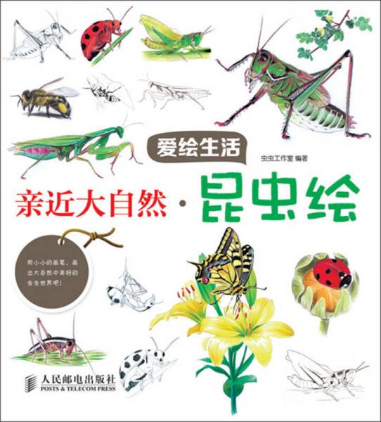 愛繪生活：親近大自然·昆蟲繪