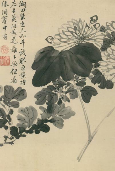 东方画谱·明代花鸟篇：仿陈道复花卉图