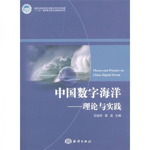 中国数字海洋：理论与实践