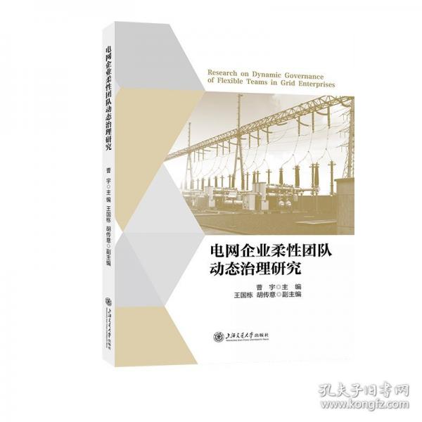 電網(wǎng)企業(yè)柔性團(tuán)隊(duì)動(dòng)態(tài)治理研究