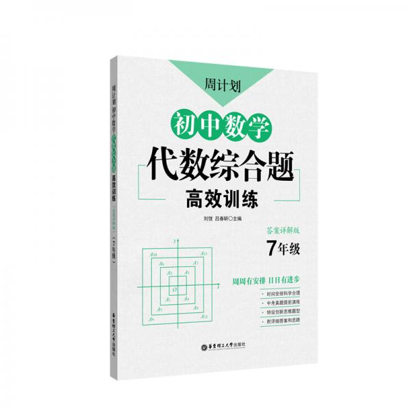 周计划：初中数学代数综合题高效训练（7年级）