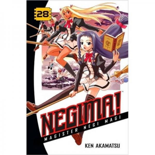 Negima! Volume 28