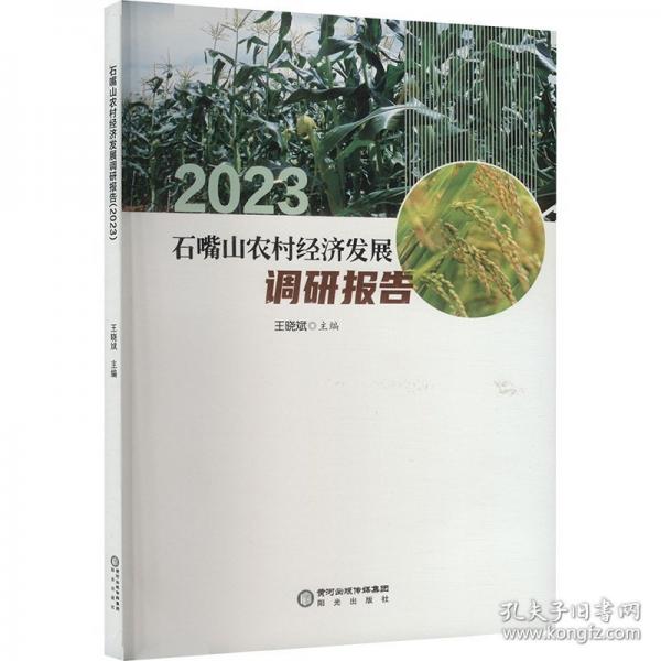 石嘴山农村经济发展调研报告