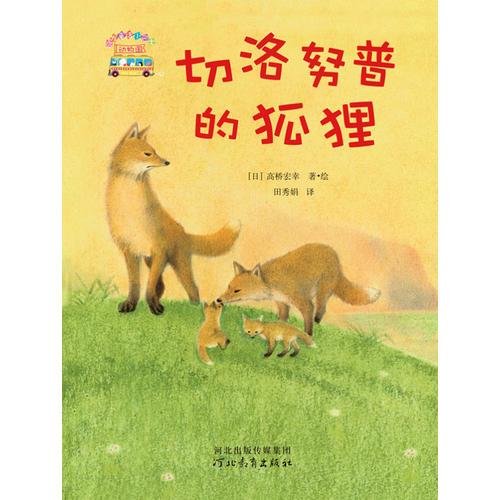 切洛努普的狐貍