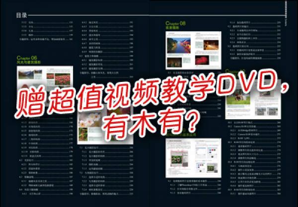 美丽诱惑：DSLR数码单反摄影圣经