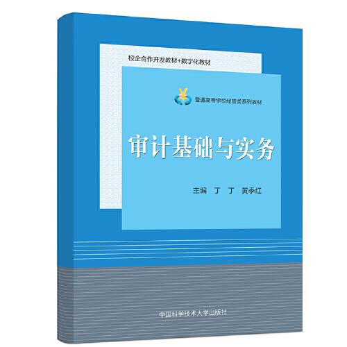 審計(jì)基礎(chǔ)與實(shí)務(wù)