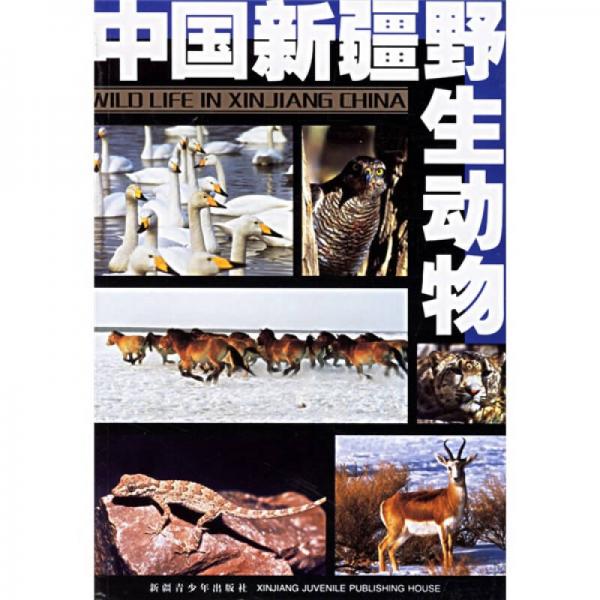 中国新疆野生动物