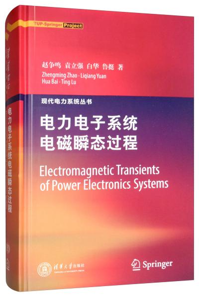电力电子系统电磁瞬态过程/现代电力系统丛书