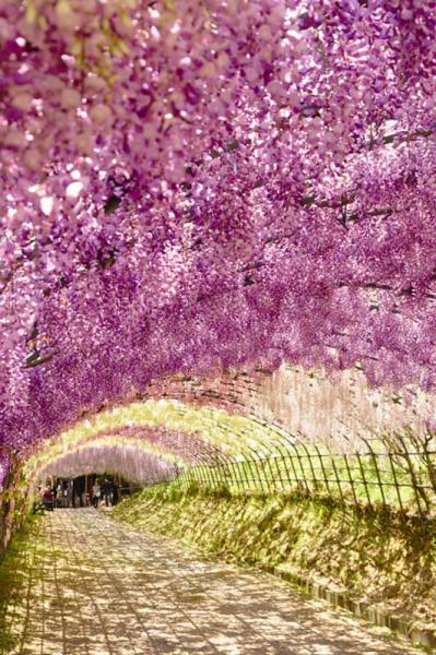 日本，去1000次也不够