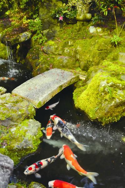 日本，去1000次也不够