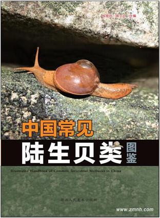 中国常见陆生贝类图鉴
