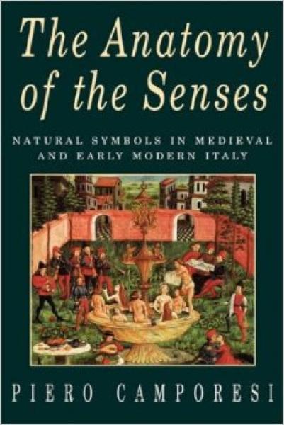 The Anatomy of the Senses