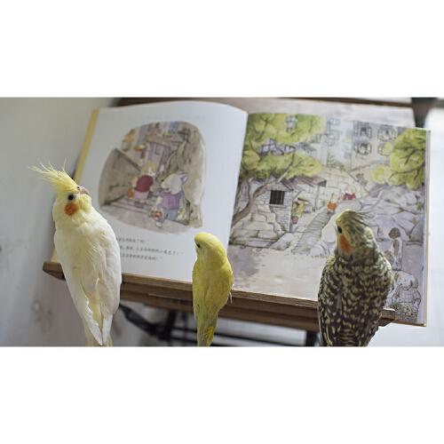 奶奶，买炸酥肉！