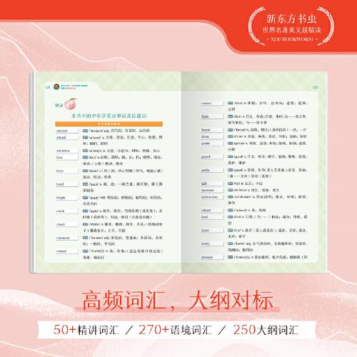 新东方书虫·世界名著英文版精读