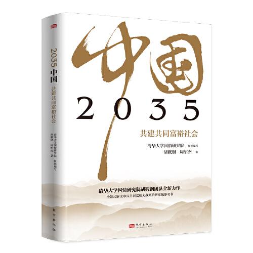 2035中國(guó)  共建共同富裕社會(huì)