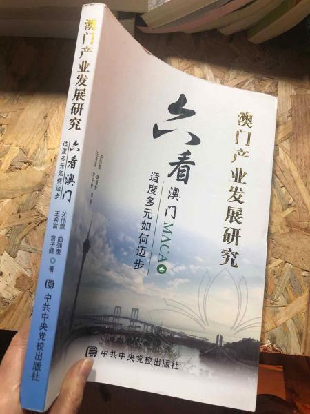 六看澳門，適度多元如何邁步