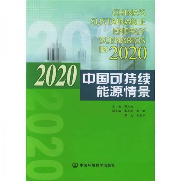 2020中国可持续能源情景
