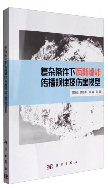 復(fù)雜條件下瓦斯爆炸傳播規(guī)律及傷害模型