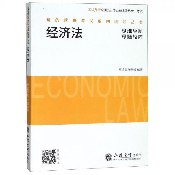 2019年度经济法思维导题+母题矩阵全国会计专业技术资格统一考试玩的就是考试系列辅导丛书 