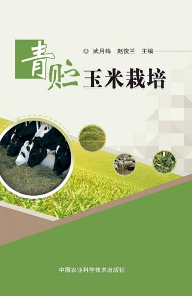 青貯玉米栽培