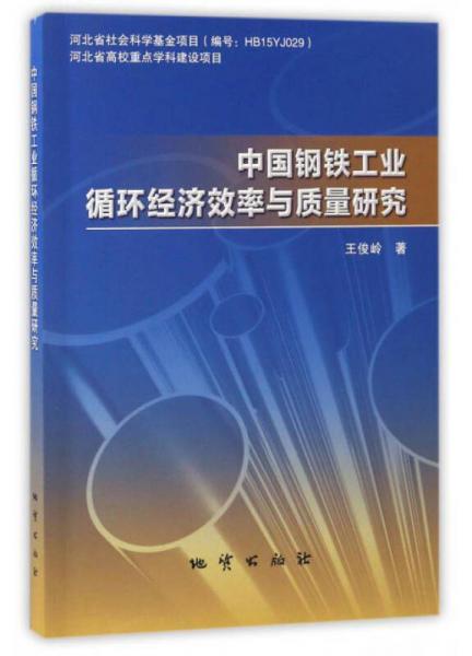中国钢铁工业循环经济效率与质量研究