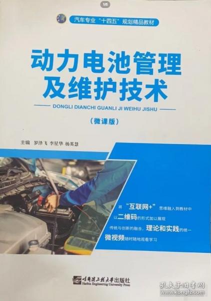 动力电池管理及维护技术 罗泽飞 