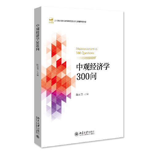 中观经济学300问 21世纪高等院校财经管理系列实用规划教材 陈云贤著