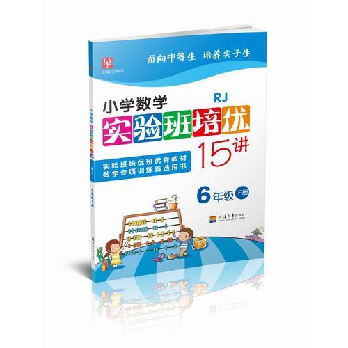 小学数学实验班培优15讲（人教）6年级下册