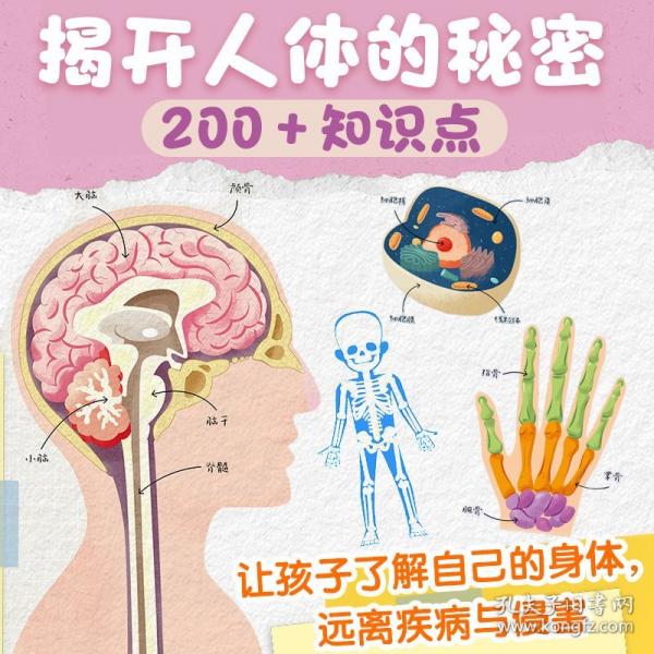 哇！好厲害的人體