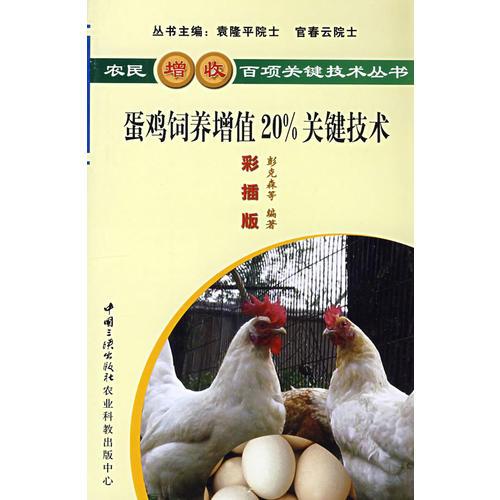 蛋雞飼養(yǎng)增值20%關(guān)鍵技術(shù)
