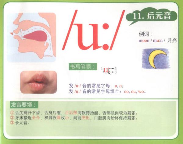 新编英语国际音标入门挂图