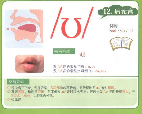 新编英语国际音标入门挂图